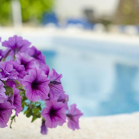 شقة البير  في La Crisalida Retreats المظهر الخارجي الصورة