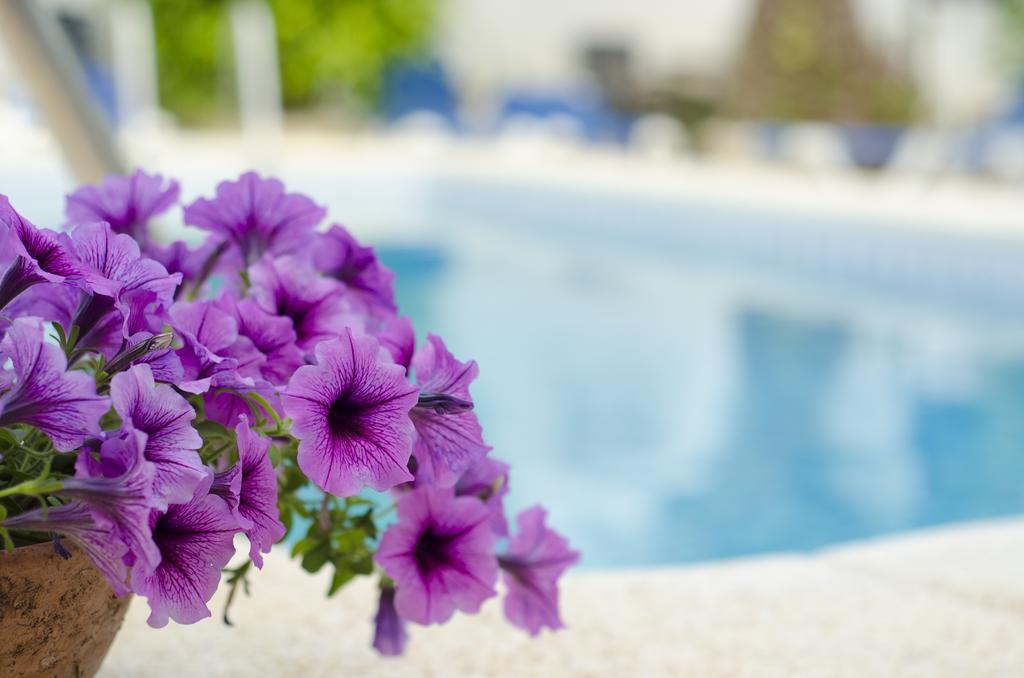 شقة البير  في La Crisalida Retreats المظهر الخارجي الصورة